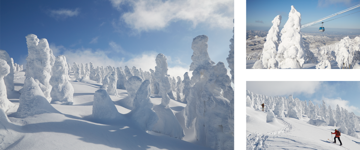 阿仁ゴンドラで行く樹氷観賞