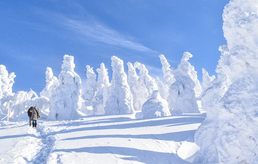 樹氷観賞