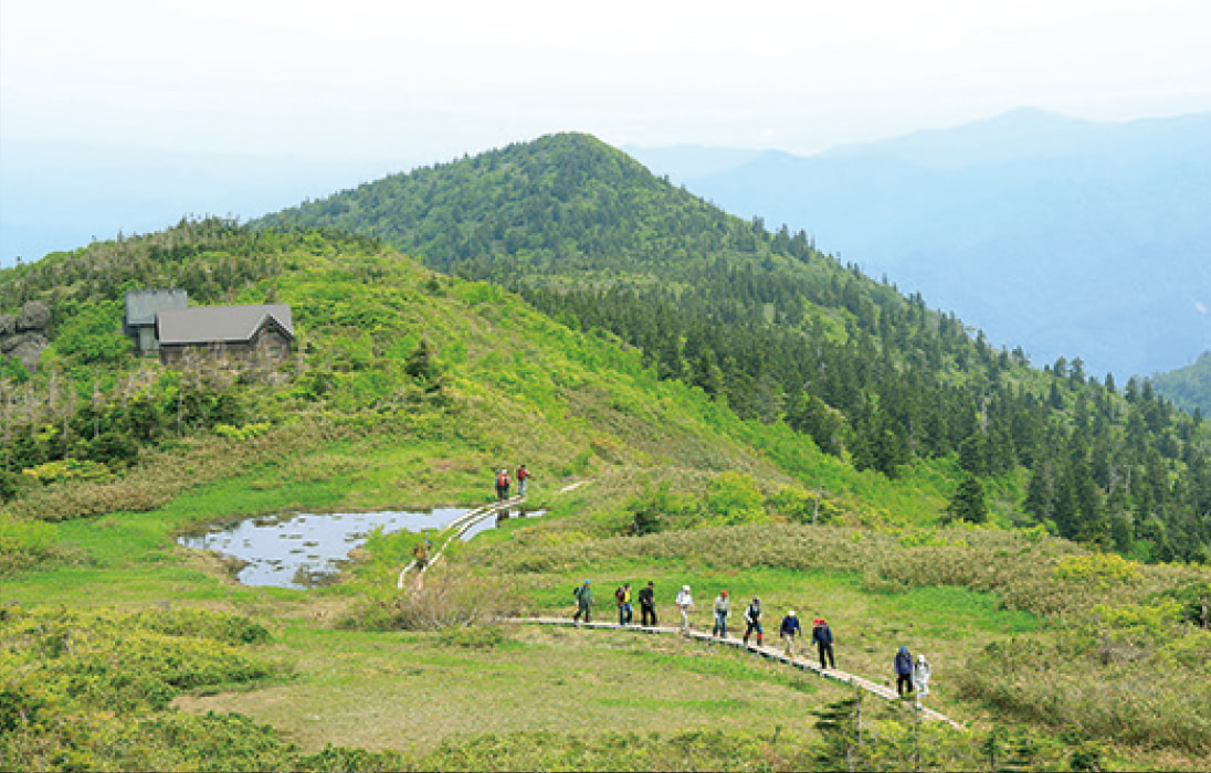 こめつがコース