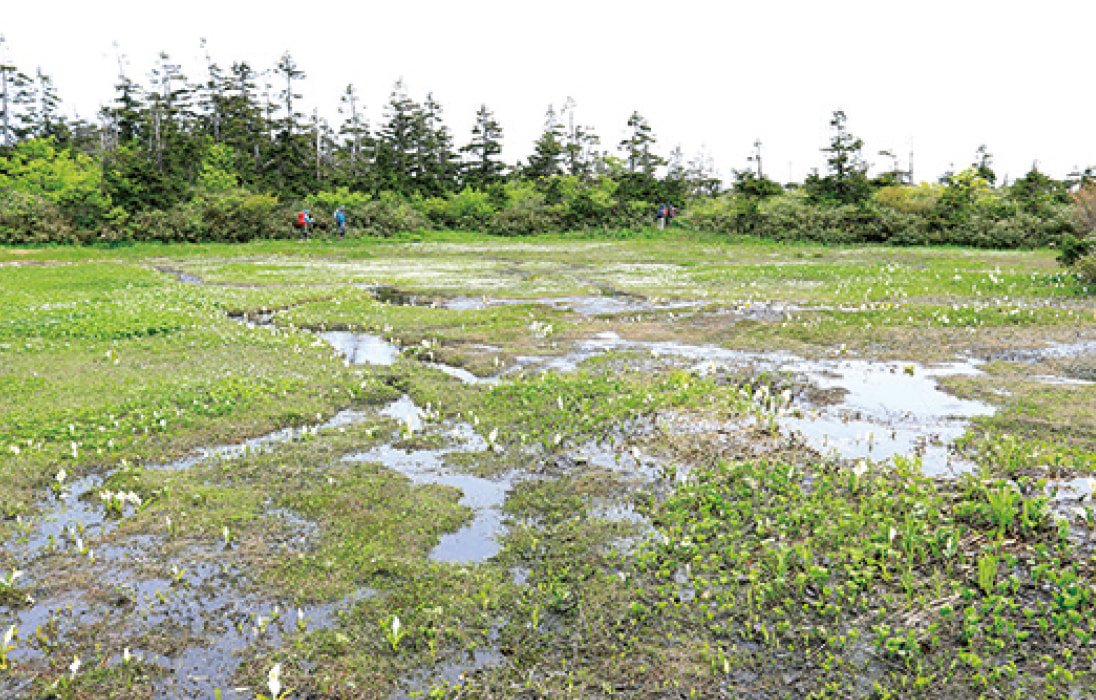 ヒバクラコース