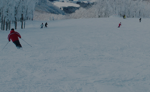 スクールのご案内